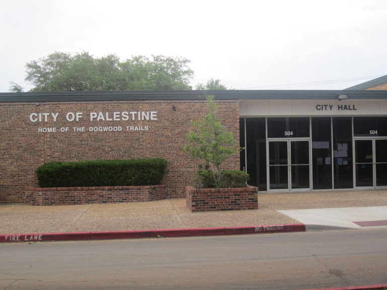 Palestine City Council Set to Appoint District 5 Representative