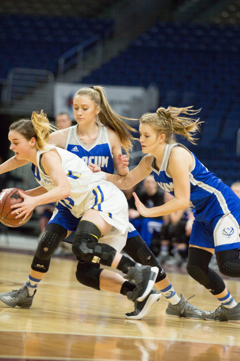 Lady Mustangs Stumble in State Semifinals