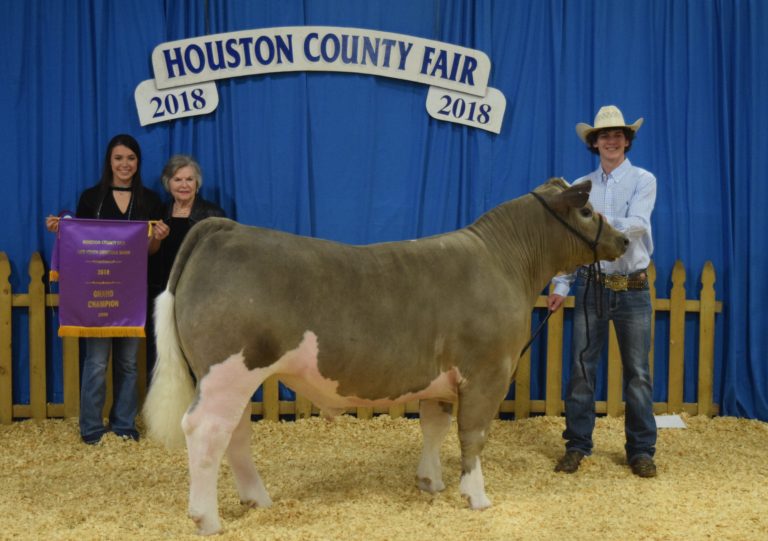2019 Houston County Fair and Youth Livestock Begins Monday