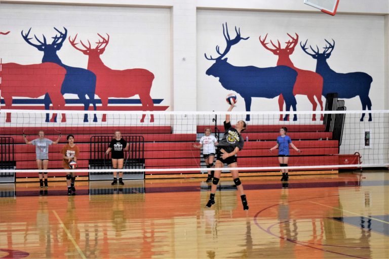 Preview: Elkhart Lady Elks Volleyball