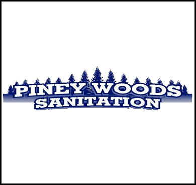 Progress Report on Piney Woods Sanitation Given to Comm. Court
