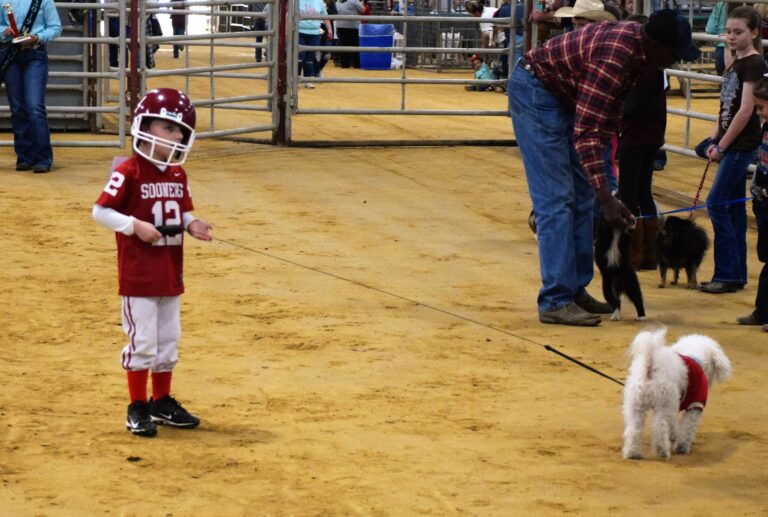 Pet Show Kicks Off 2019 Houston County Fair and Youth Livestock Show