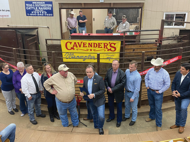 Anderson County Livestock Exchange Hosts Grand Opening