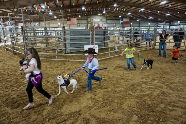 Houston County Fair Pet Show
