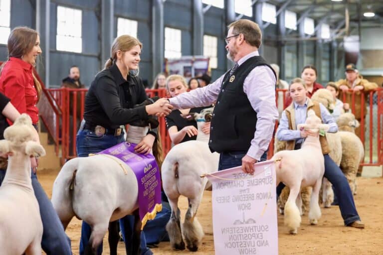 Grapeland Girl Wins Top Prize for Sheep