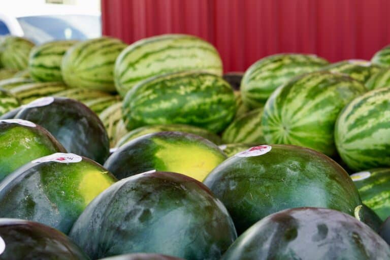 Watermelons Back on Sale Just in Time for Summer 
