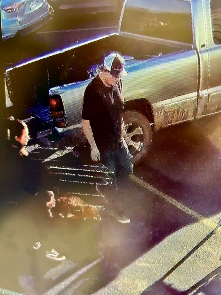 CPD Arrests Two for Cruelty to Animals