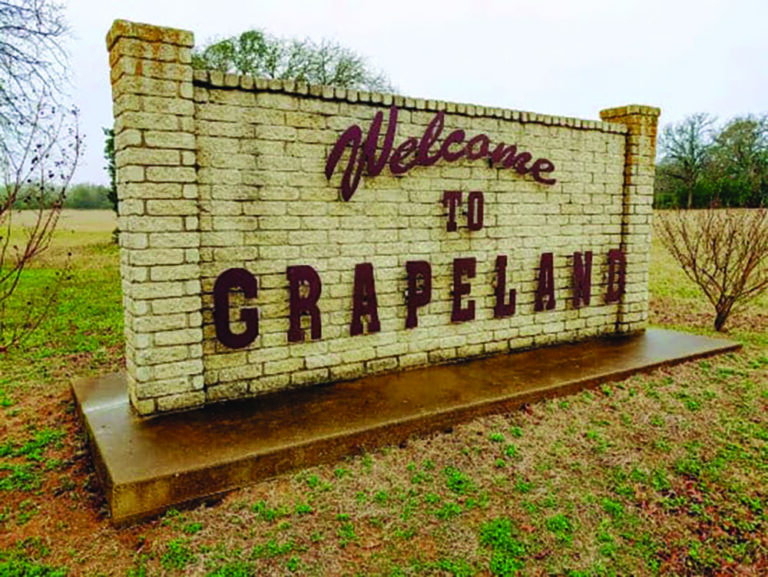 Grapeland Adopts New Ordinance After Reports of Loose Dogs
